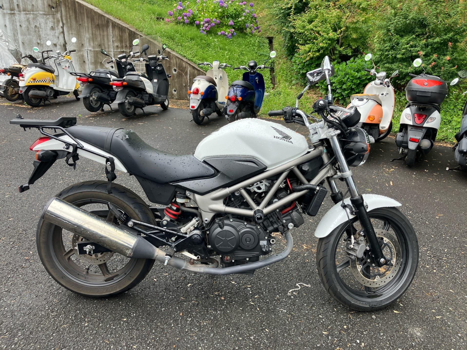 Honda VTR250