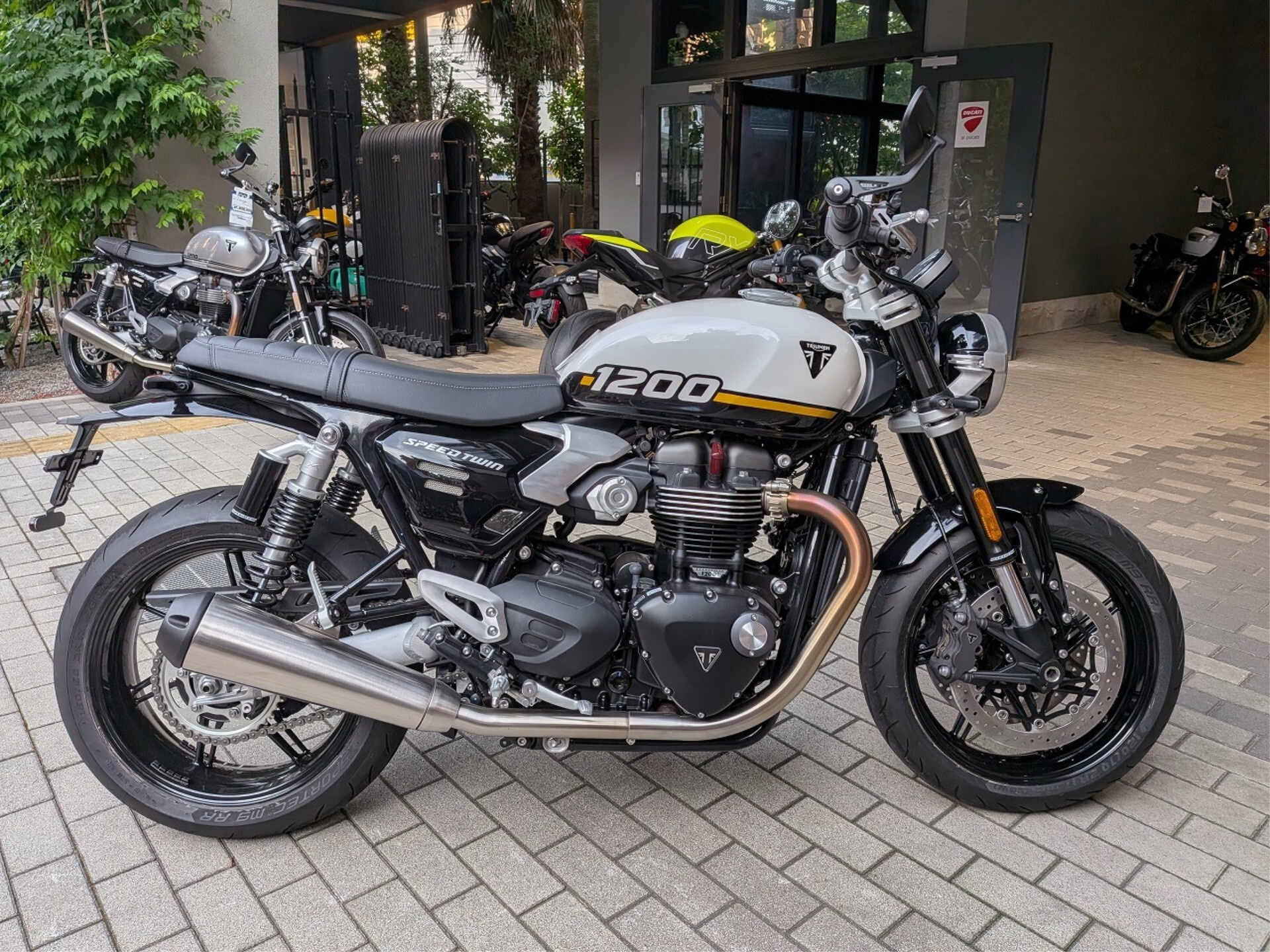 OTHER TRIUMPH SPEED TWIN