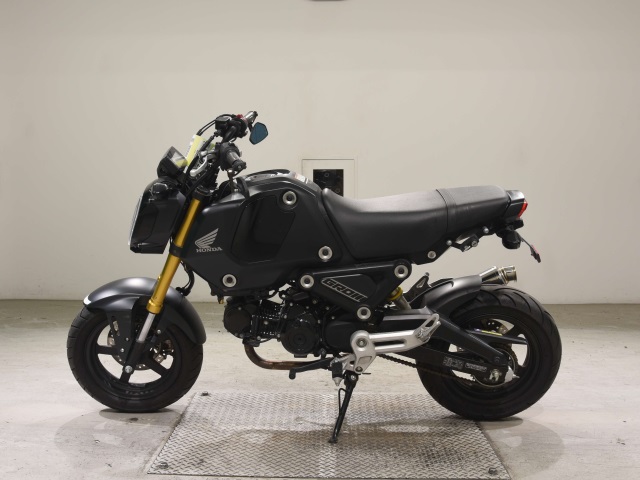 OTHER GU ROM -2
