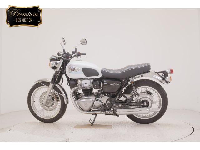OTHER W800-2