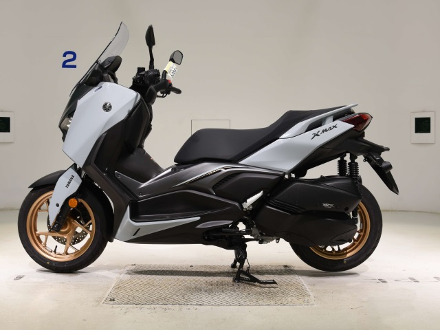 OTHER X-MAX250-2