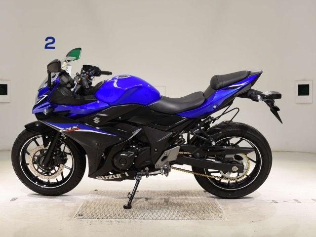 OTHER GSX250RA