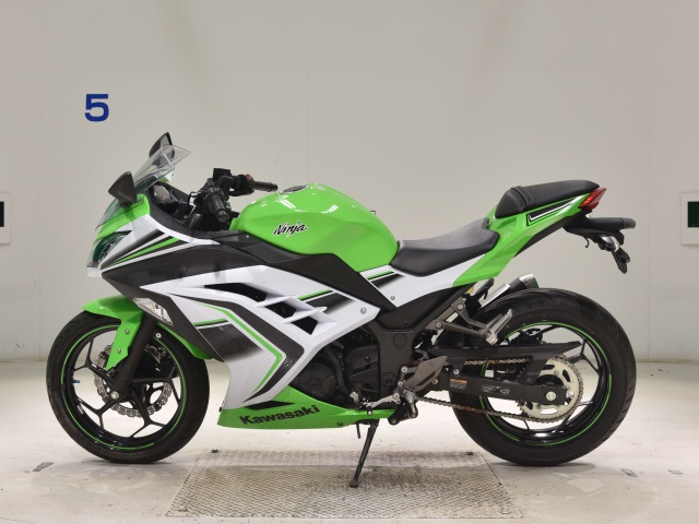 Kawasaki NINJA250