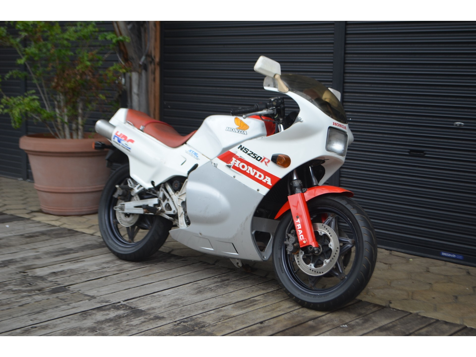 Honda NS250