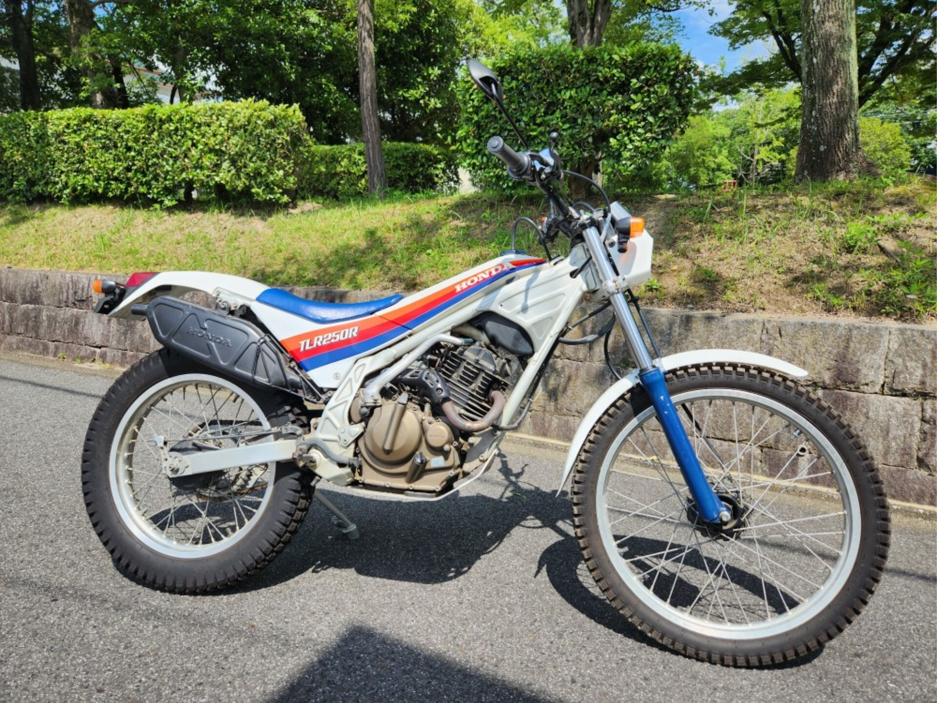 Honda TLR250R