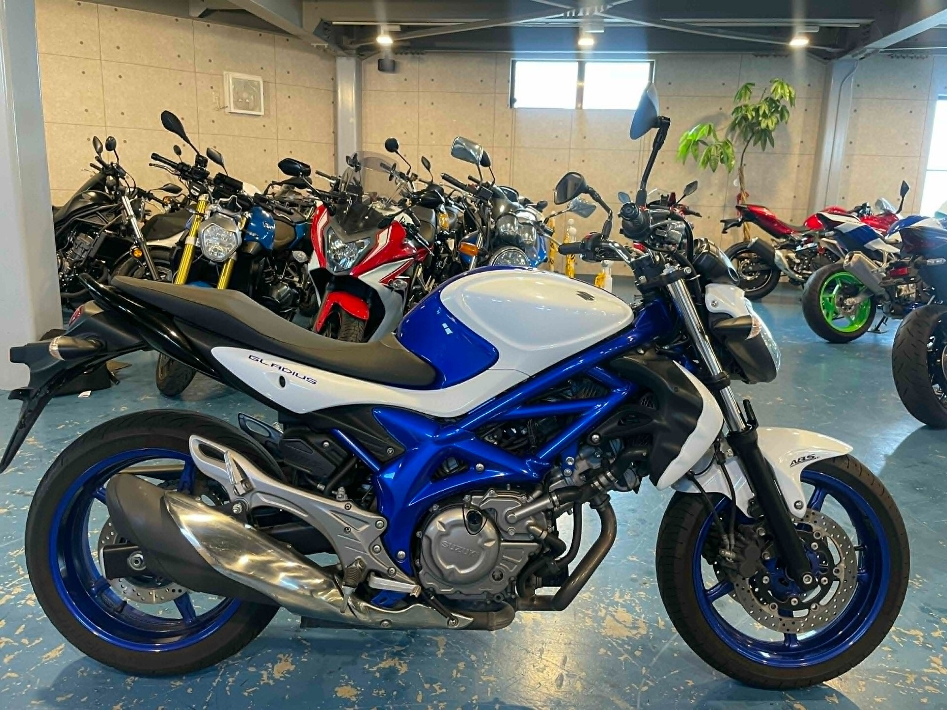 Suzuki GLADIUS650 ABS
