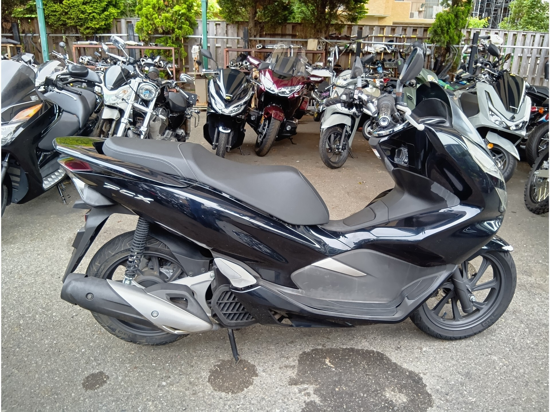 Honda PCX