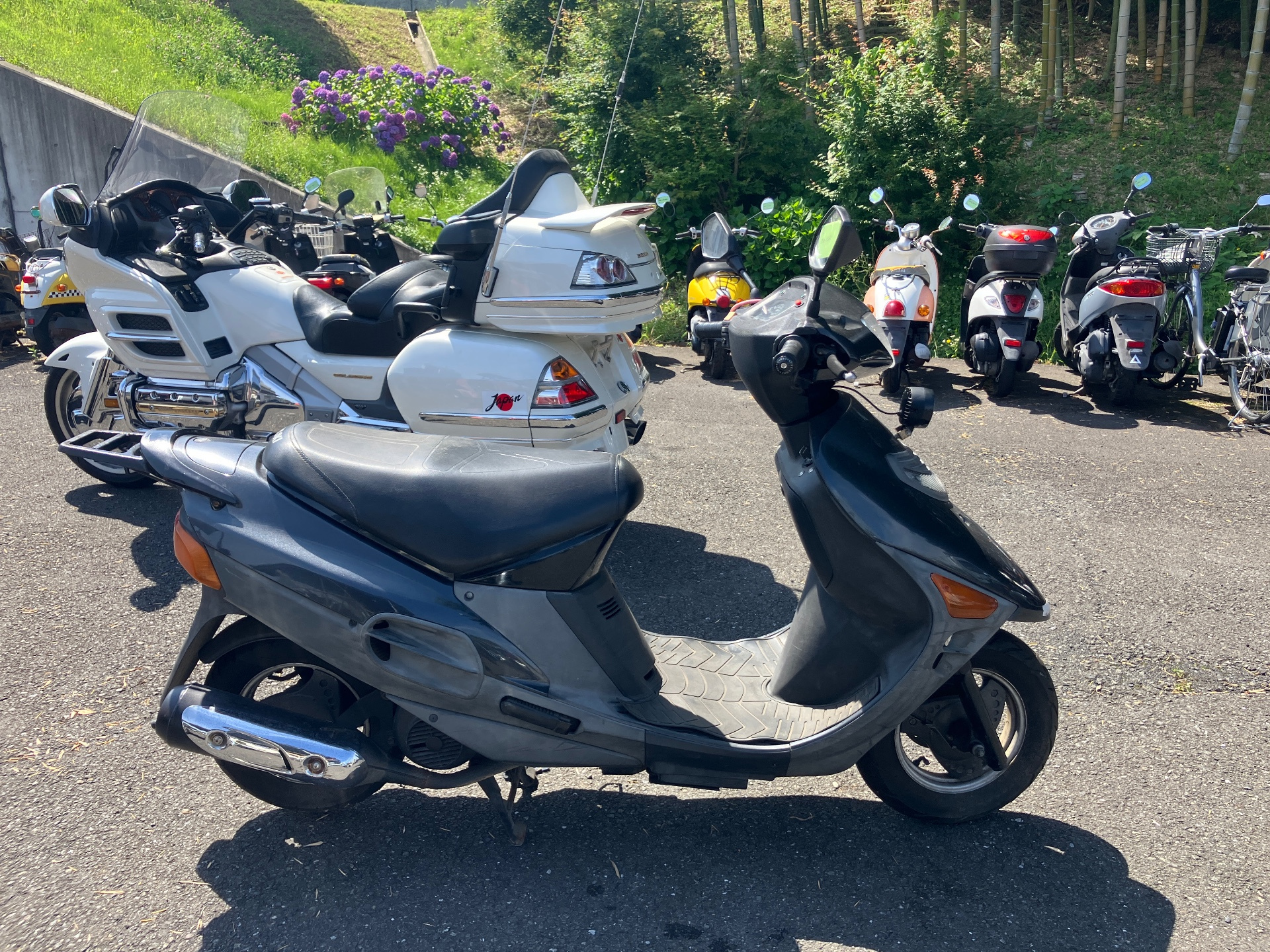 Suzuki VECSTAR125