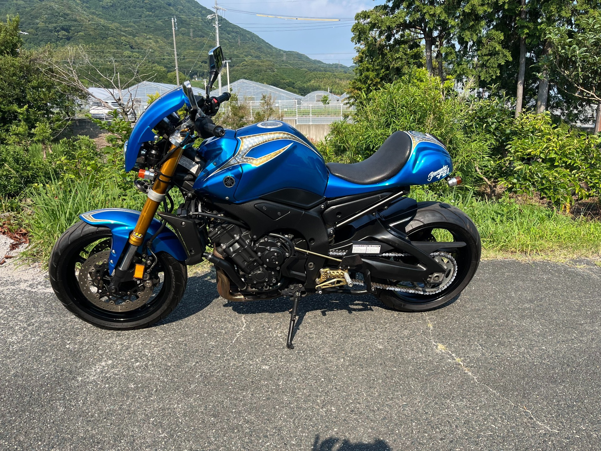 Yamaha FZ-1 FEATHER