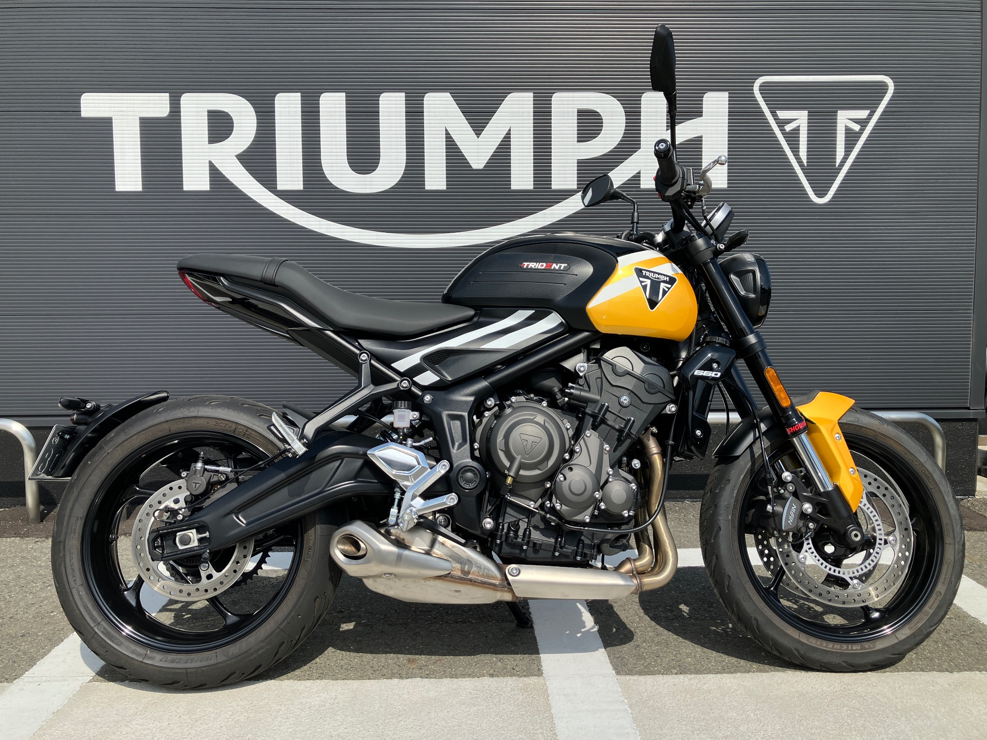 OTHER TRIUMPH TRIDENT 660