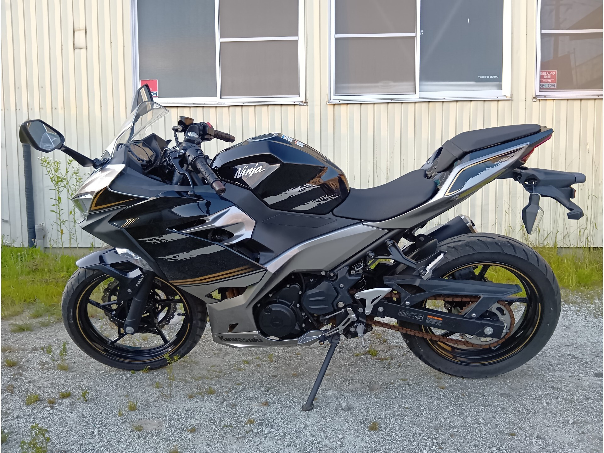 OTHER Ninja 250