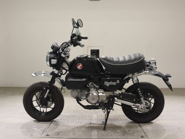 OTHER MONKEY 125-2