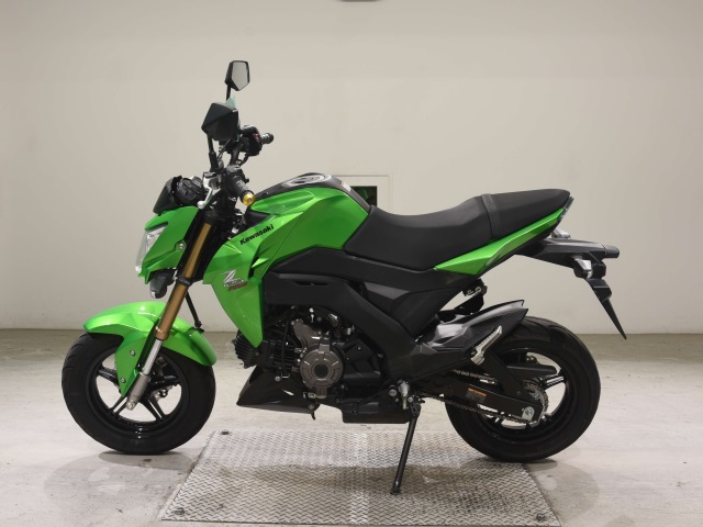 OTHER Z125PRO