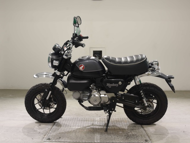 OTHER MONKEY 125-2