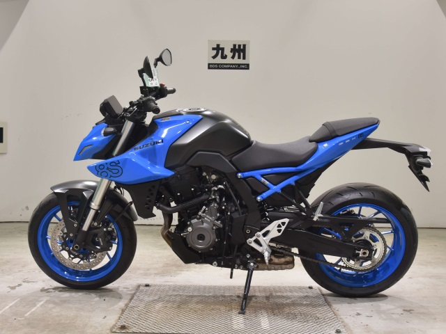 OTHER GSX-8S
