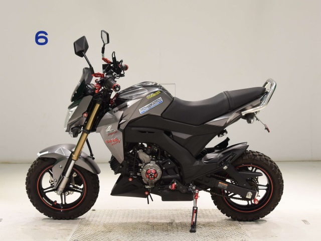 OTHER Z125PRO
