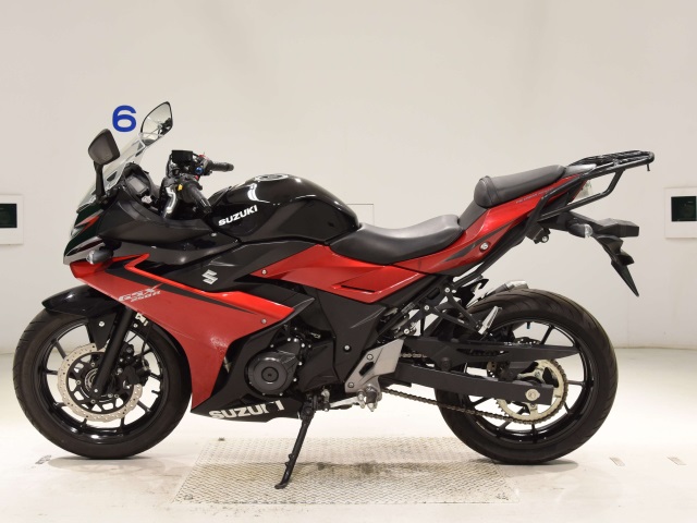 OTHER GSX250RA