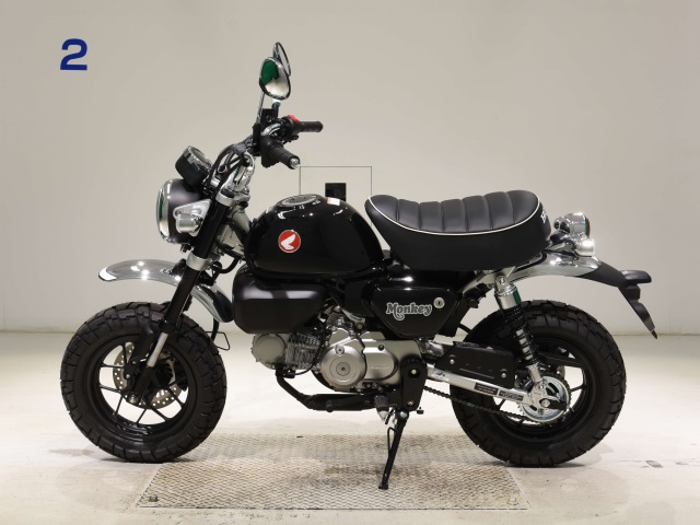 OTHER MONKEY 125-2