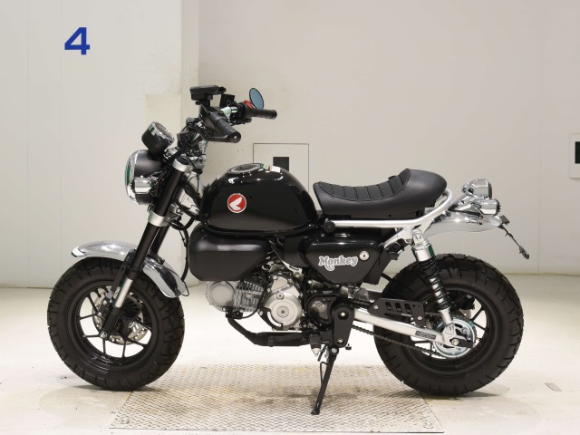 OTHER MONKEY 125-2