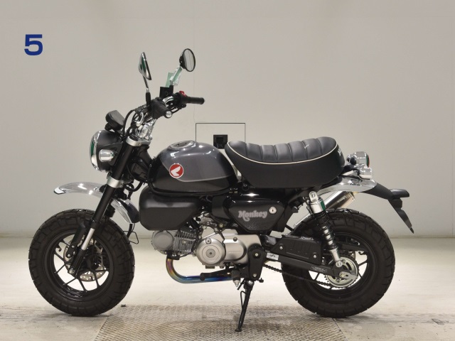 OTHER MONKEY 125-2