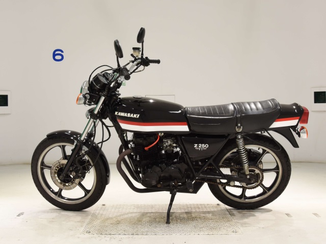 Kawasaki Z250FT