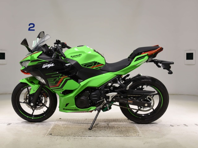 OTHER NINJA250-2