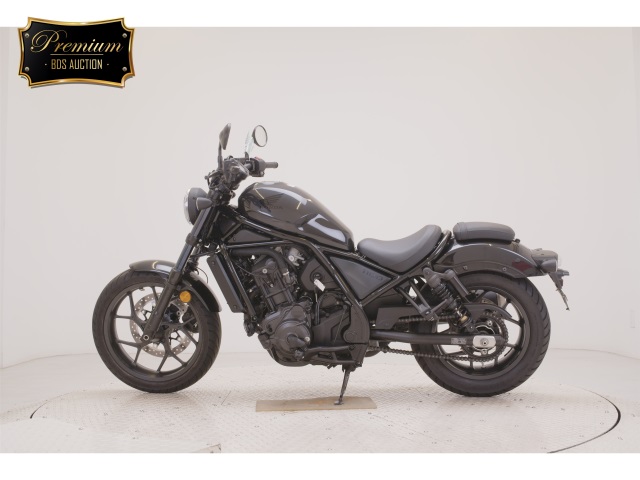 OTHER REBEL 1100