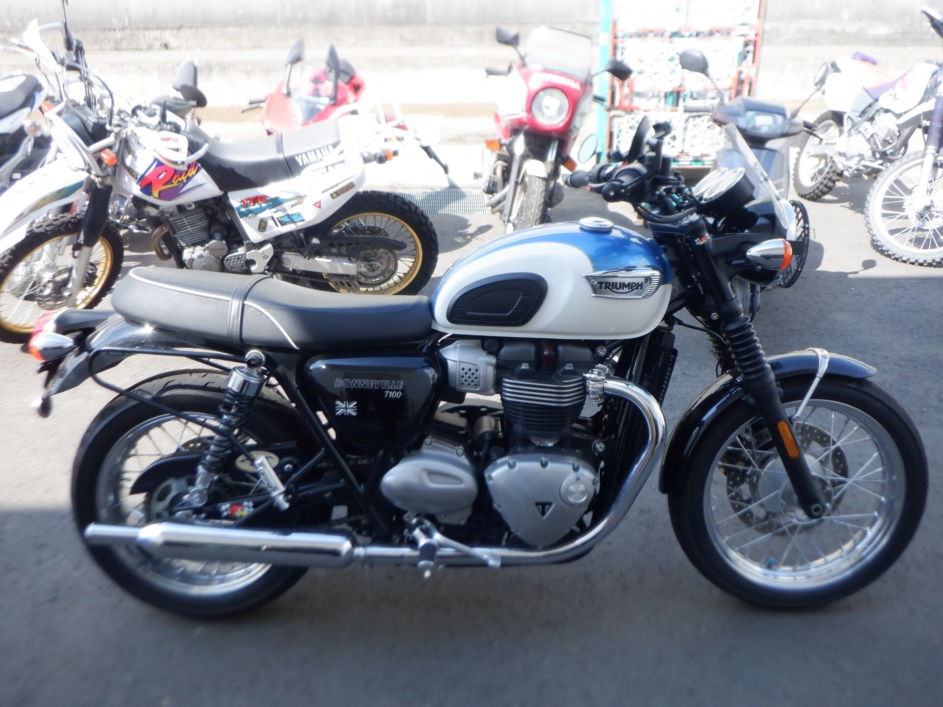 Triumph TRIUMPH BONNEVILLE T100