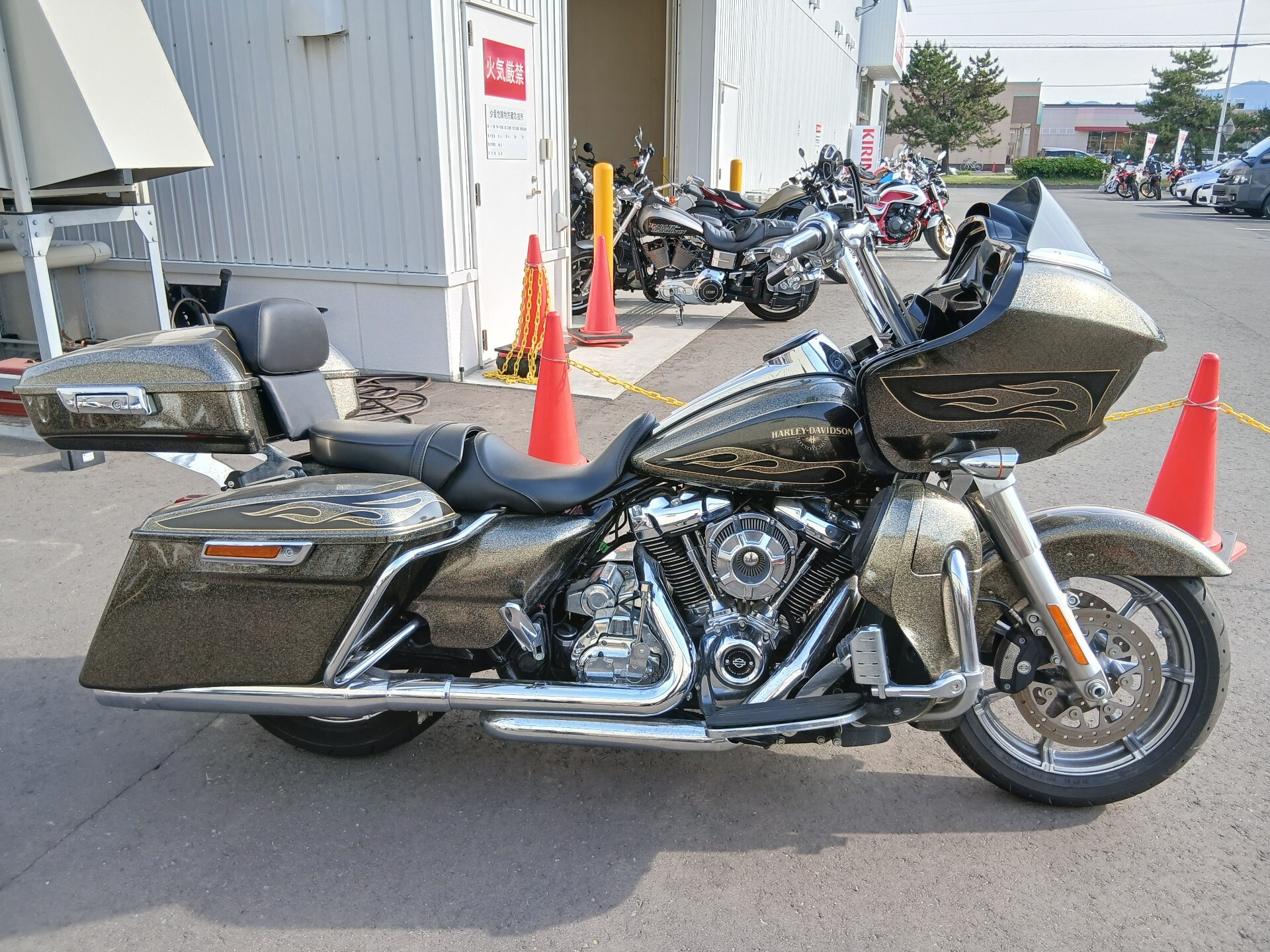 Harley-Davidson HARLEYFLTRXS