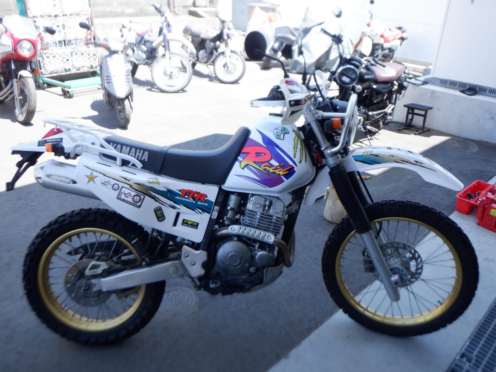 Yamaha TT250RRAID