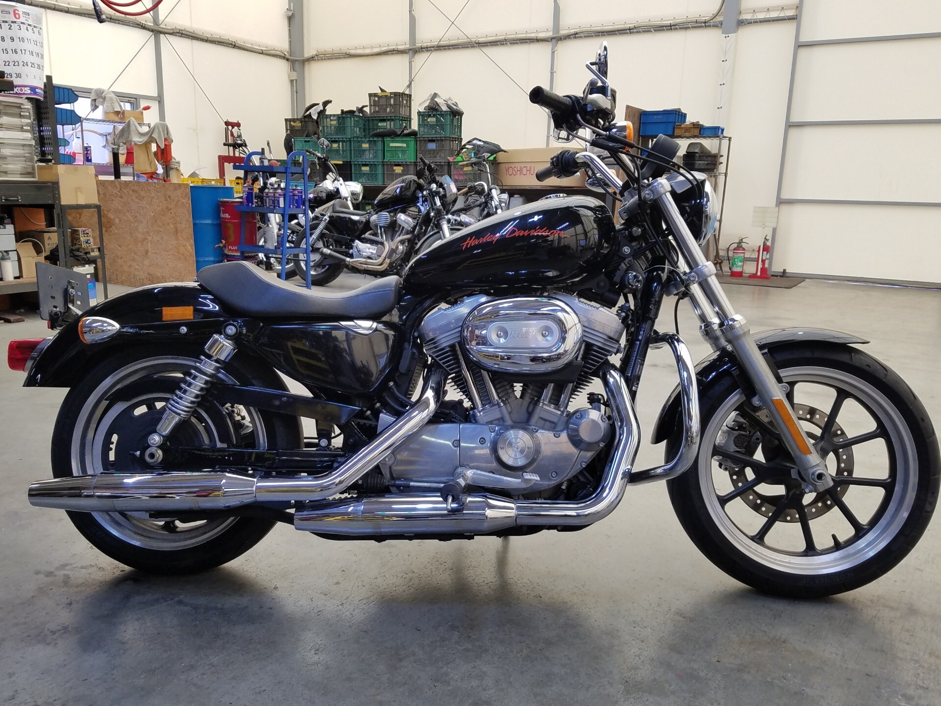 Harley-Davidson HARLEY XL883L