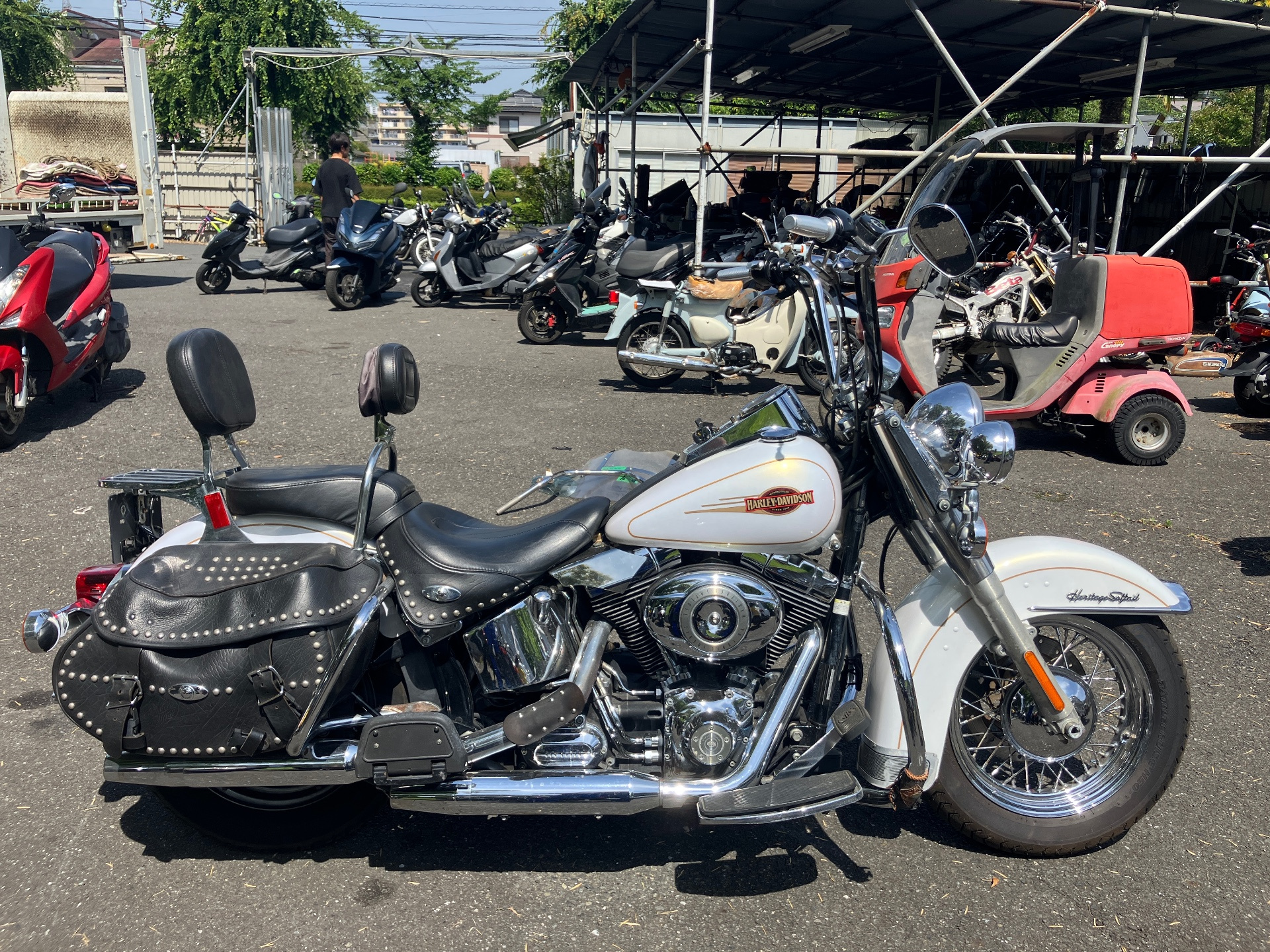 Harley-Davidson HARLEY FLSTC