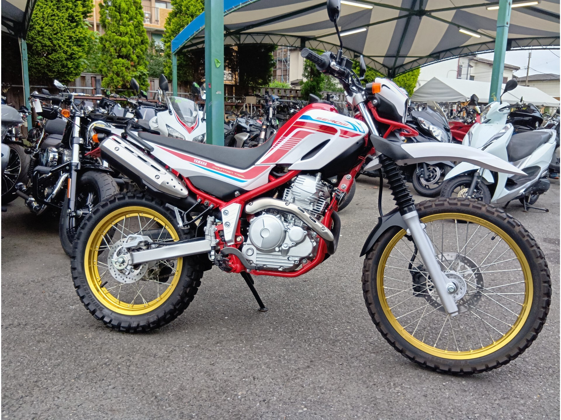 OTHER SEROW 250 FINAL ED