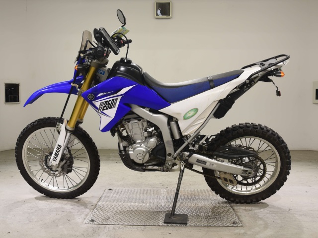 Yamaha WR250R