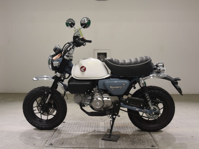 OTHER MONKEY 125-2