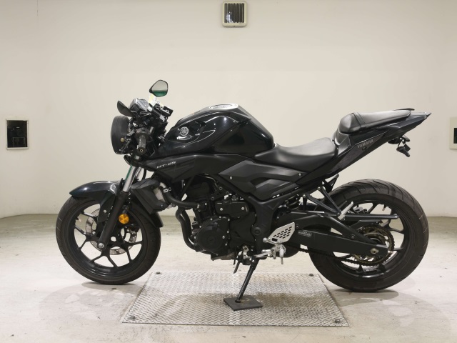 OTHER MT-25
