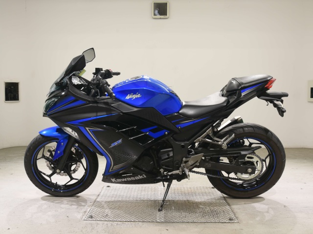 Kawasaki NINJA250