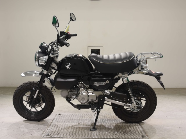 OTHER MONKEY 125-2