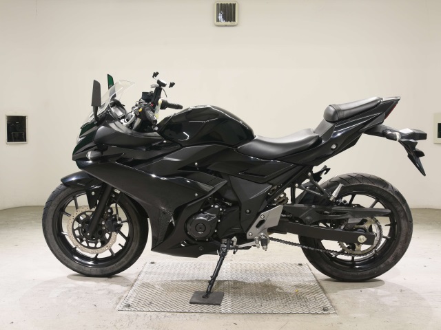 Suzuki GSX250R