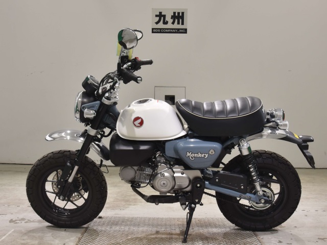 OTHER MONKEY 125-2