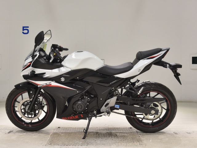 OTHER GSX250RA