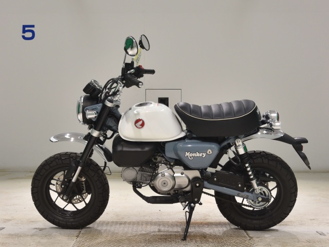 OTHER MONKEY 125-2