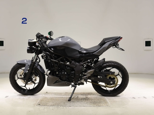 Kawasaki NINJA250SL