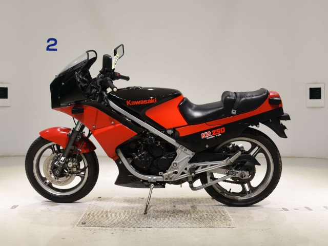 Kawasaki KR250