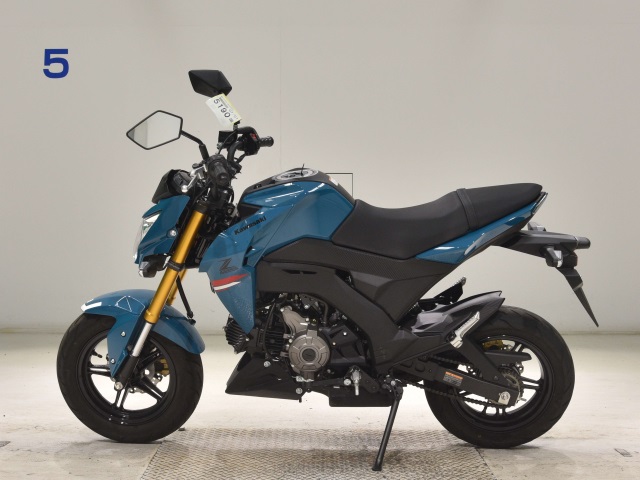 OTHER Z125PRO