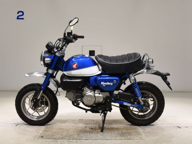 OTHER MONKEY 125
