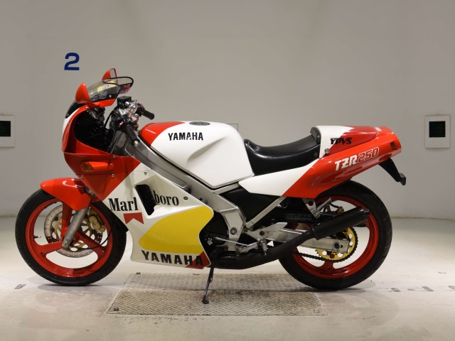 Yamaha TZR250-1