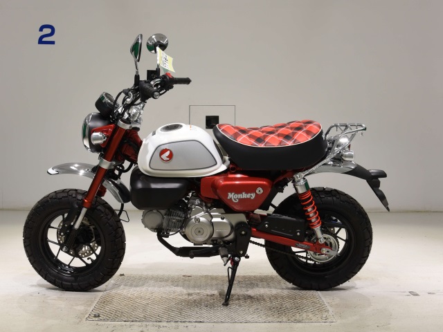 OTHER MONKEY 125-2