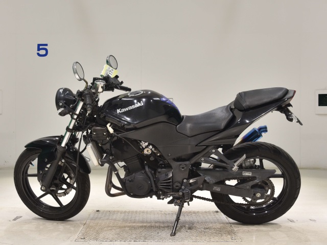 Kawasaki NINJA250R
