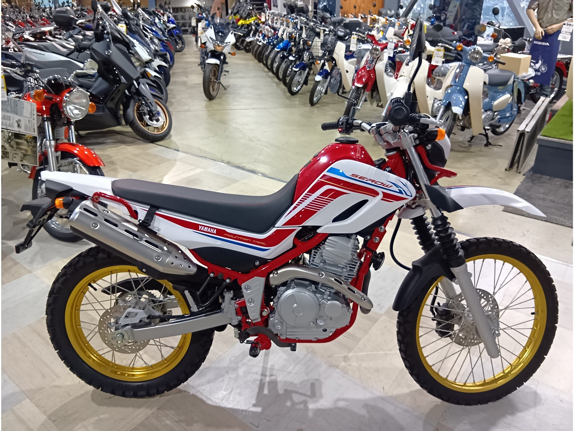 OTHER SEROW 250 FINAL ED